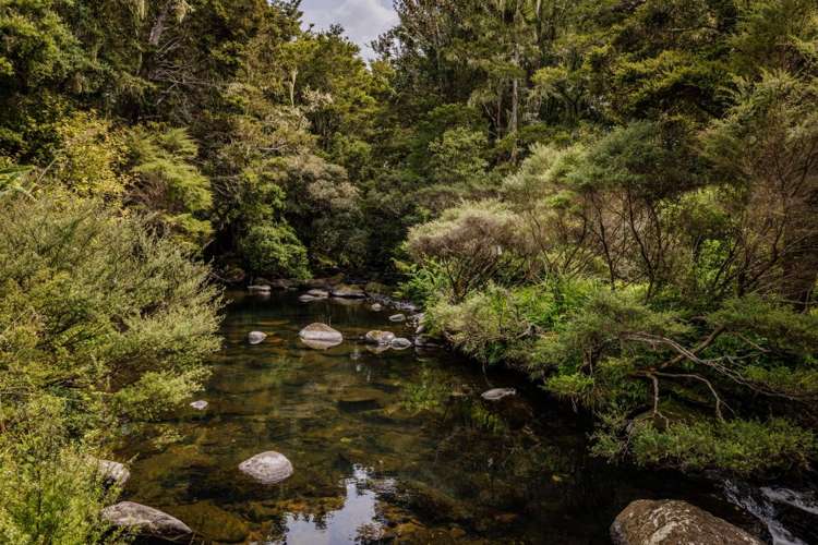 43Z Blue Gum Lane Kerikeri_31