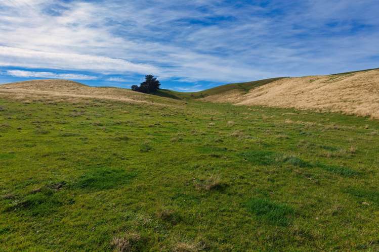 Corner Marfells Beach and Clifford Roads Lake Grassmere_26