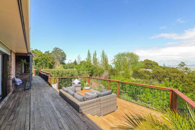 420 Hill Street Thames_4