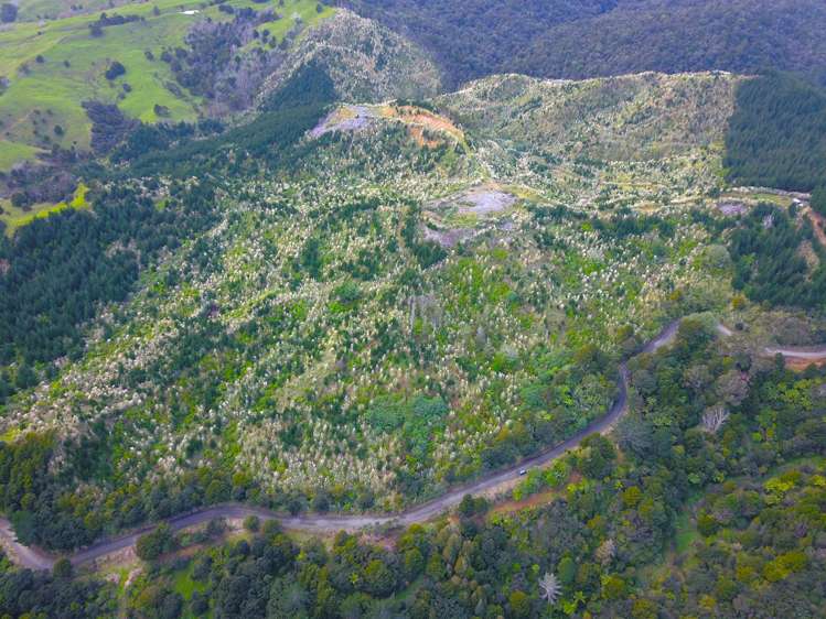 Lot 2 Waiotehue Road_3