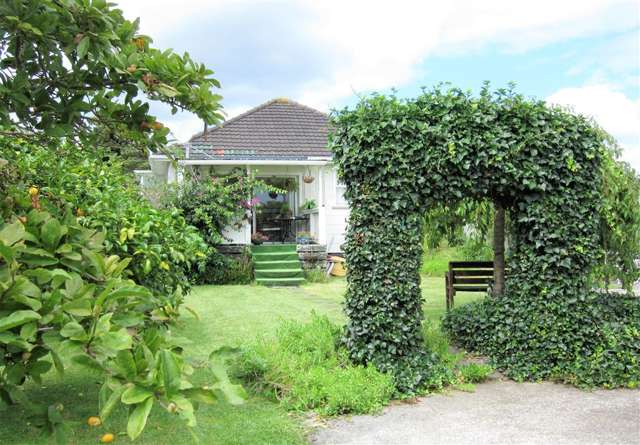 88 Thames Road Paeroa_1