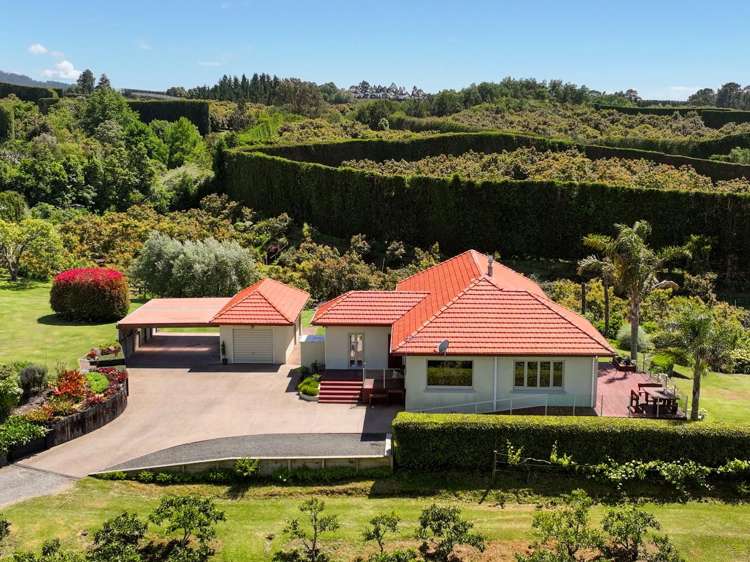 11B Stokes Road Katikati_25