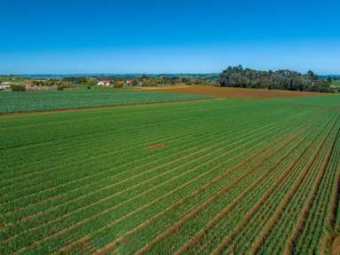 292 Waiuku Road_4