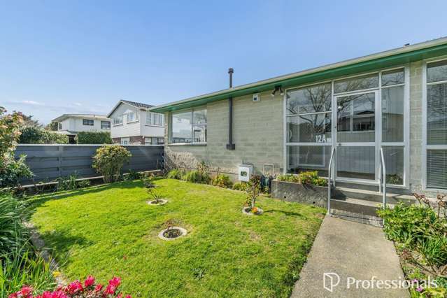 12a Chesney Street Avalon_3