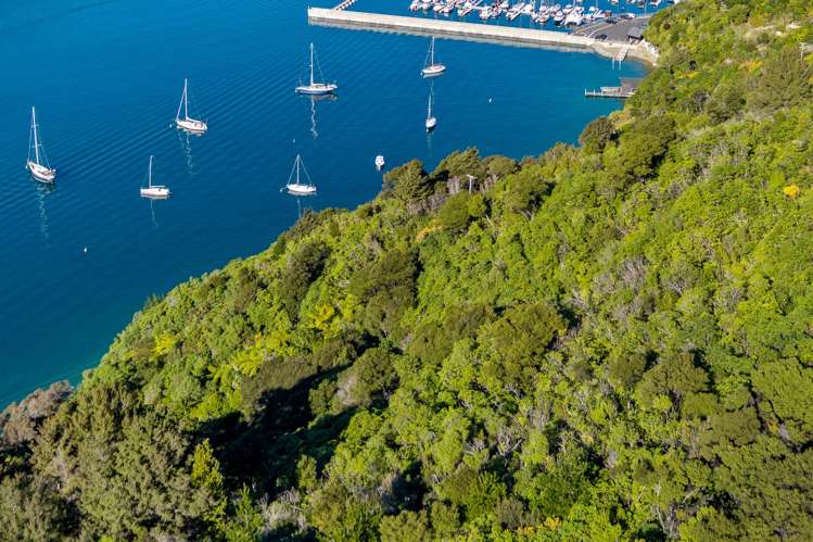 The Snout Waikawa Bay Picton_9