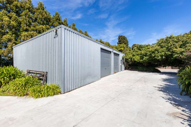 223 King Road Inglewood_19