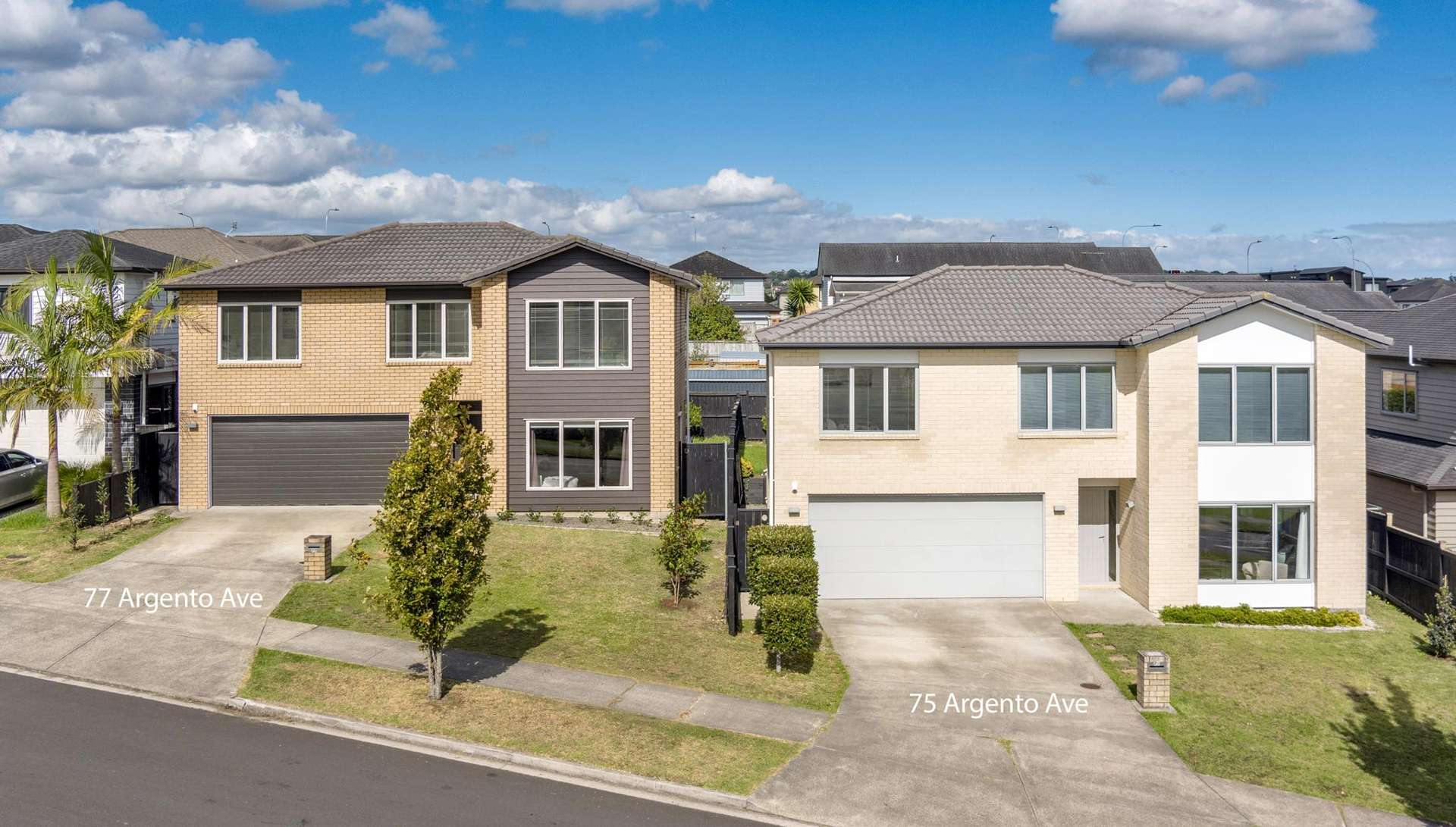 75 Argento Avenue Flat Bush_0