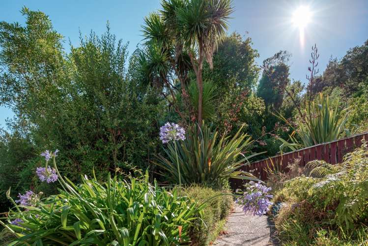 20 Suffolk Street Picton_20