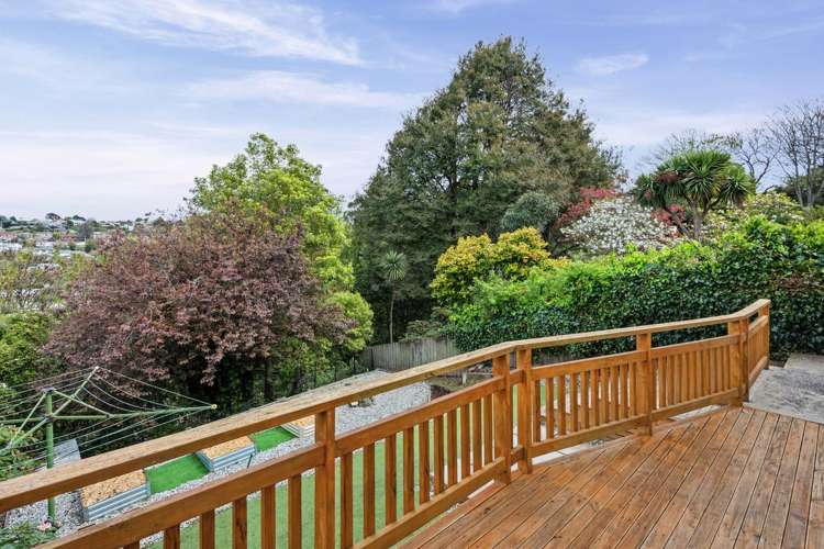 22 McGeorge Avenue Mornington_23