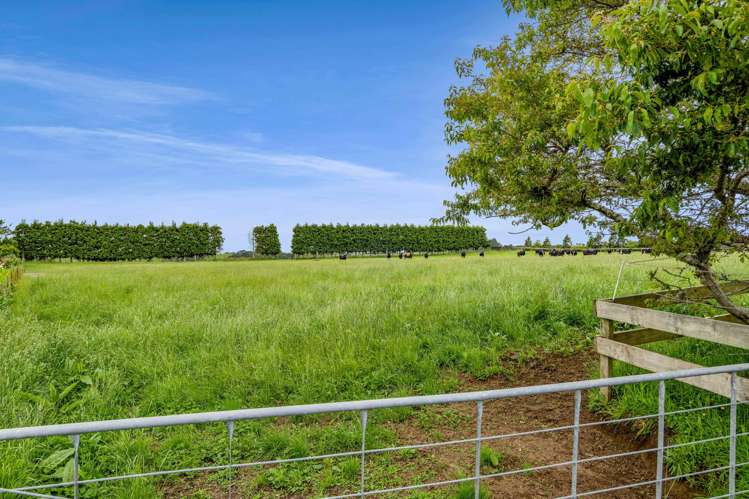 325A Awai Road Tarurutangi_28