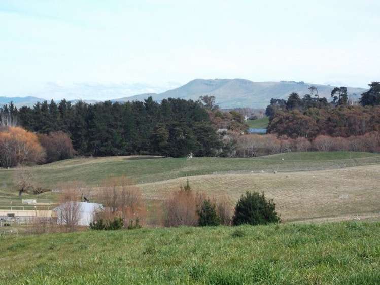 27 Jg Wilson Drive Waipukurau and Surrounds_7