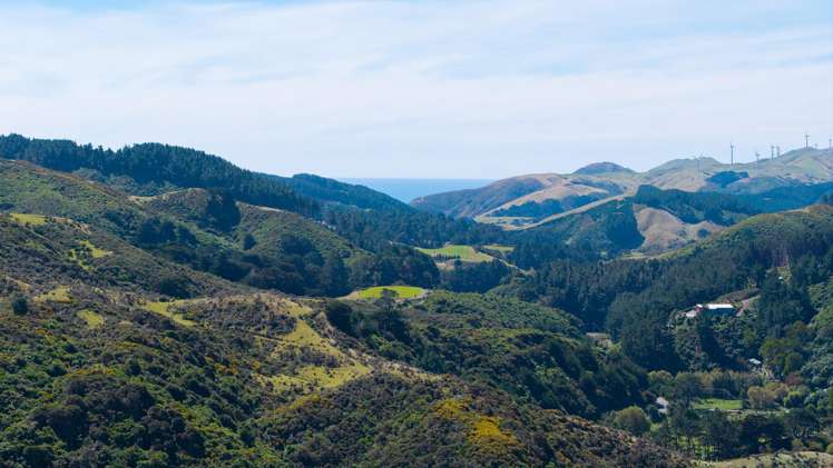 474A Makara Road Makara_26