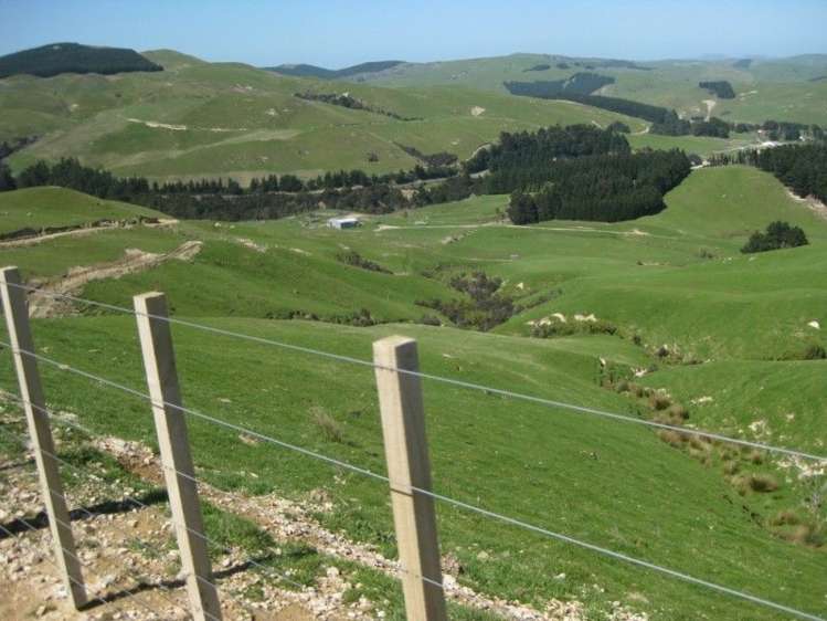 858 Oporae Road Waione_12