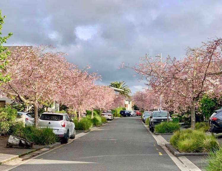 16 Lester Street Hobsonville_22