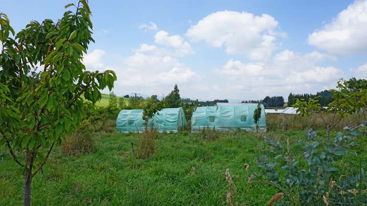 770 Winton Hedgehope Highway Winton Surrounds_9