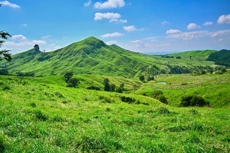 1678 Tiniroto Road Waerenga-O-Kuri_22