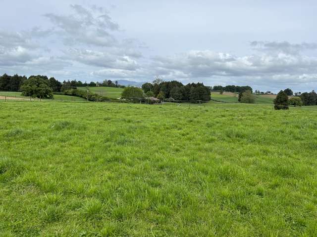 1/2171 Cambridge Road Te Awamutu_3