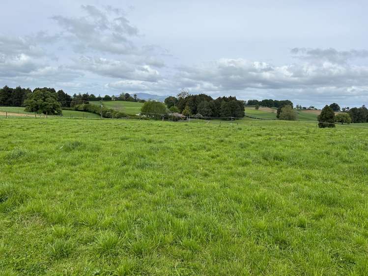 1/2171 Cambridge Road Te Awamutu_3