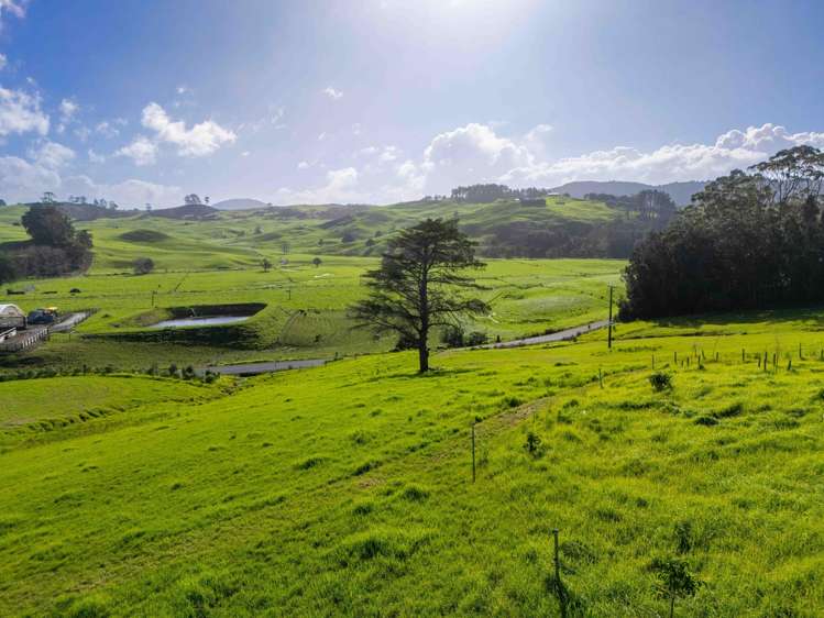 Lemonwood Rise Maungakaramea_6