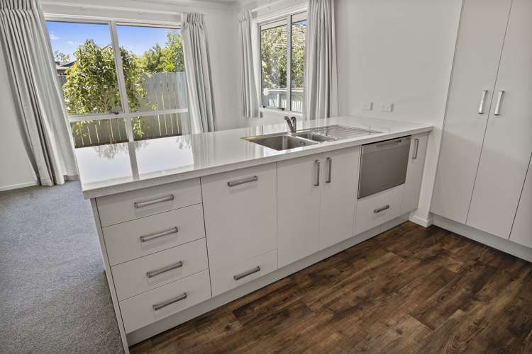 42a Haerehuka Street Otorohanga_10