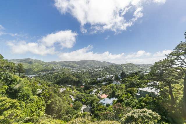 84a Cecil Road Wadestown_2