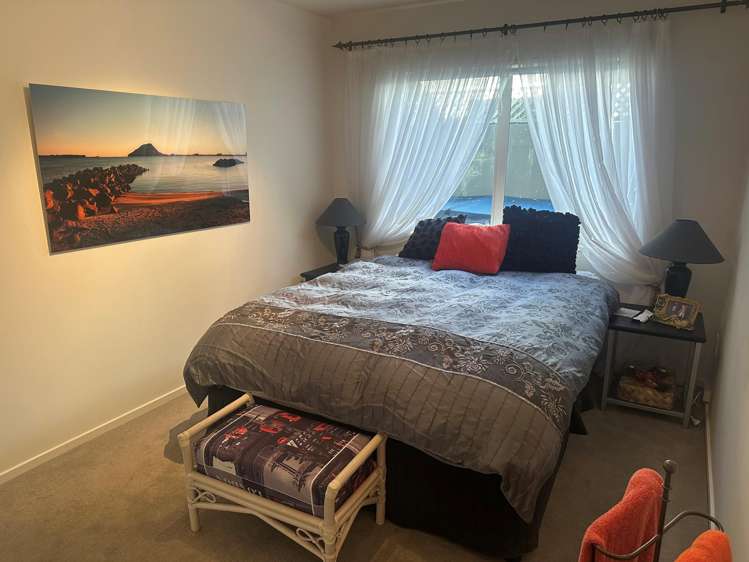 3b Prince Avenue Mount Maunganui_21