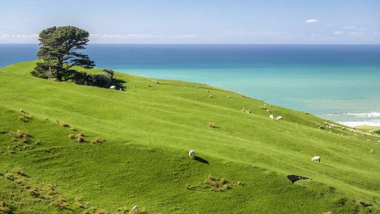 631 Otahome Road Whareama_5