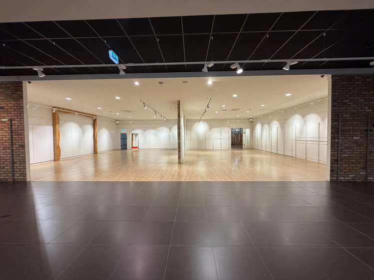 1/100 Heretaunga street west Hastings Central_5