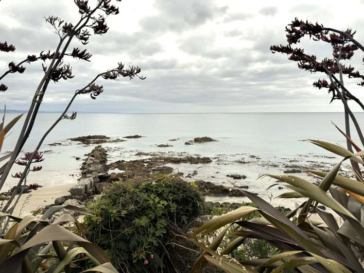 523 The Nuggets Road South Otago Coastal_23