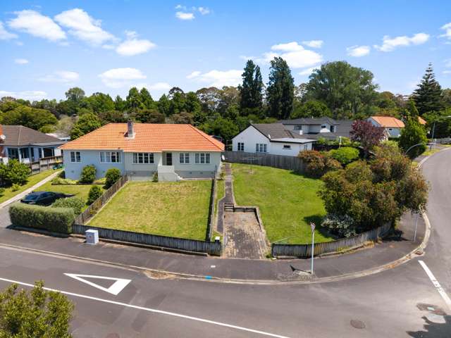 A Plunket project with promise