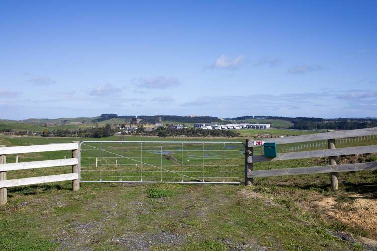 205 Springhill Road Te Kauwhata_2