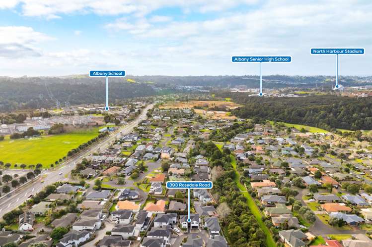 393 Rosedale Road Albany_30