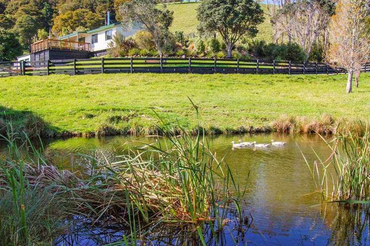 598A Oneriri Road Kaiwaka_25