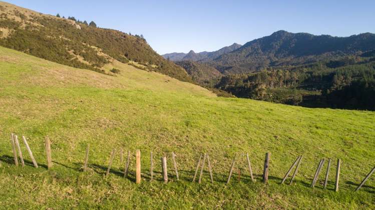 157 Parakiwai Quarry Road Whangamata_9