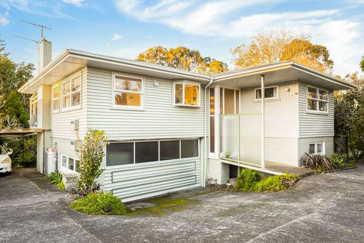 46 MacLaurin Street_0