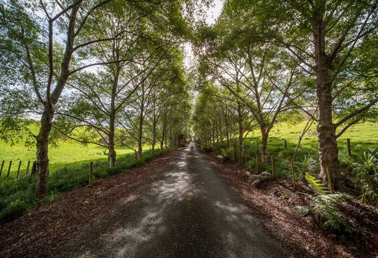 139 Omaha Valley Road Big Omaha_1