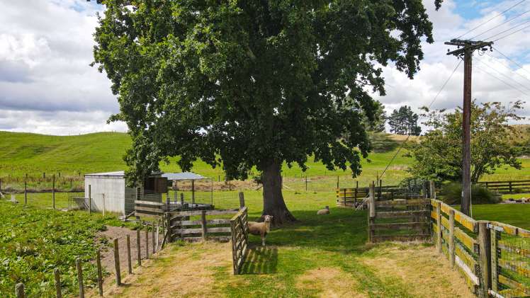 289 Mangatete Road Ngakuru_23