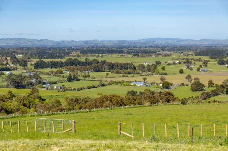 91 Chester Park Drive West Taratahi_25