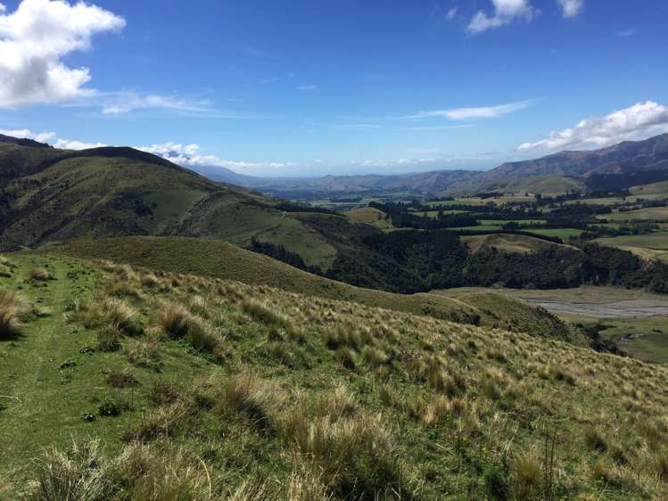 3276 Inland Kaikoura Road Stag And Spey_14