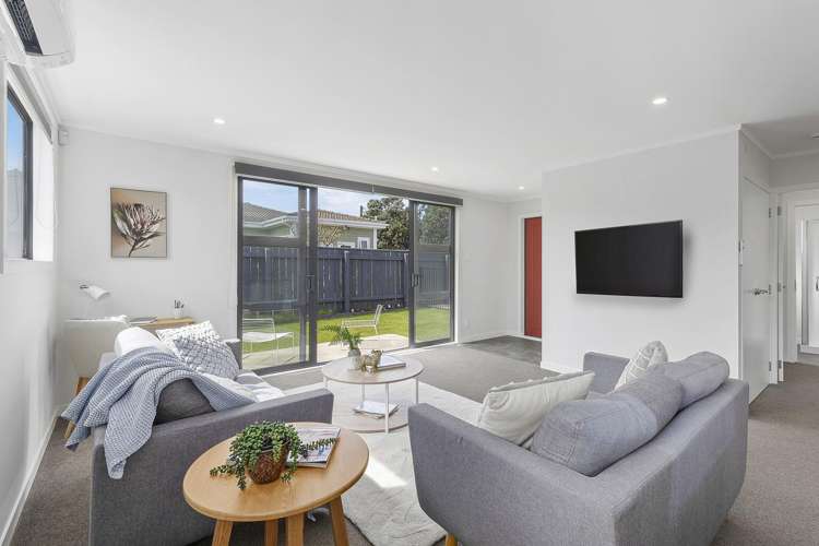 103a Hobart Street Miramar_8