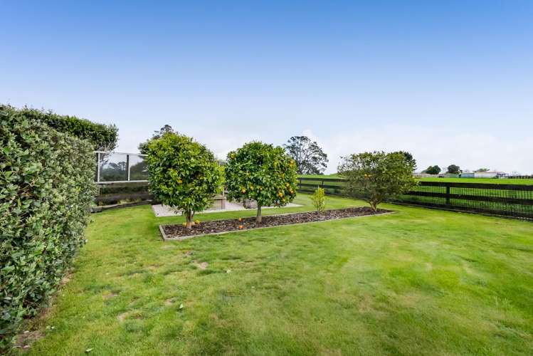 338 Smart Road Hillsborough_43