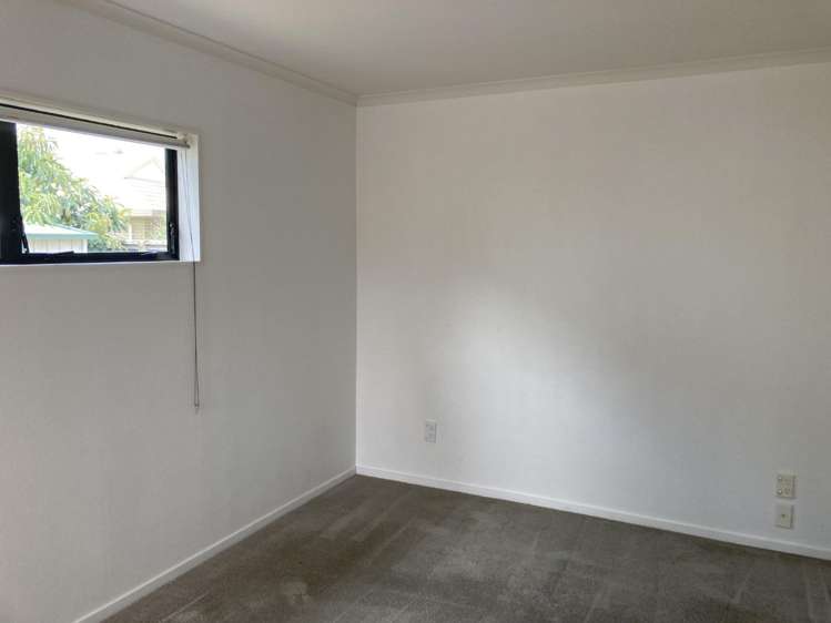 17 Hastings Place 500063_10
