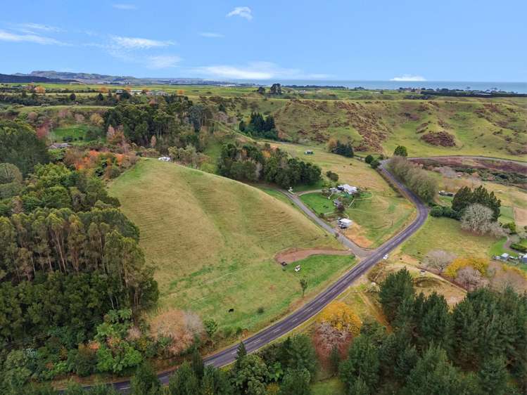 272 Pikowai Road Pikowai_12