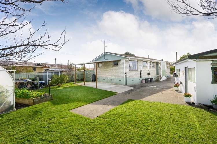 21 Flower Street Bulls_28