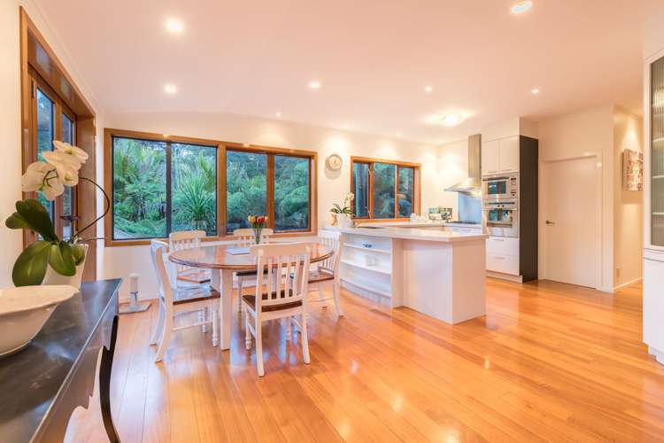 366d Huia Road Titirangi_10