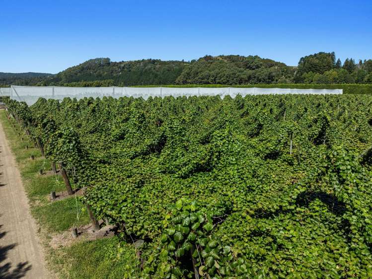 19 and 39 Butler Road Te Teko_18
