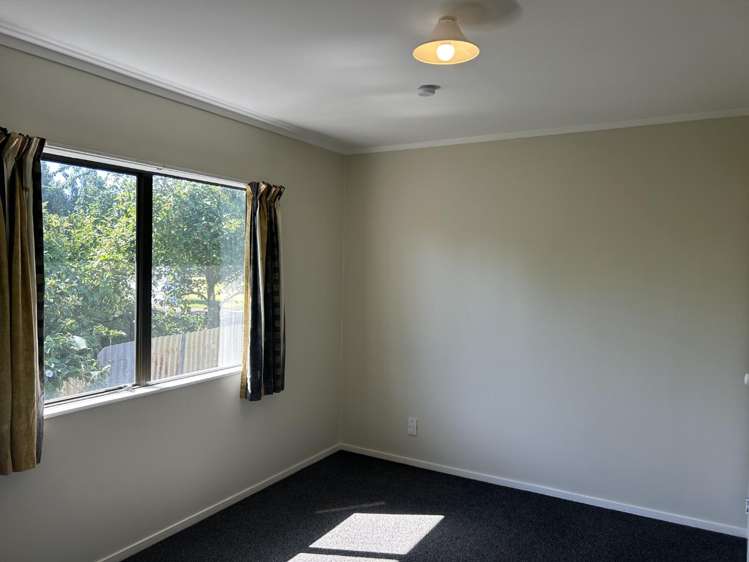 11A Paterson Street 11185_5