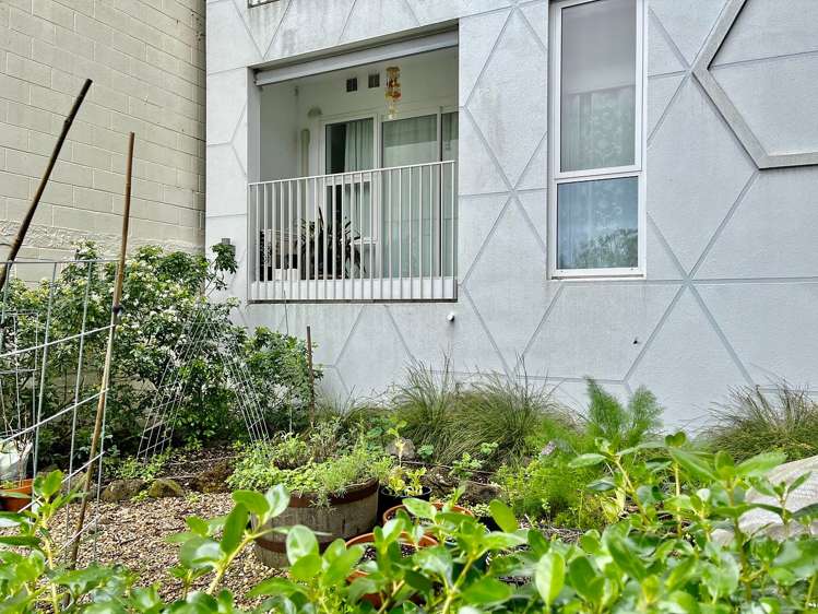 03/11g Akepiro Street Mount Eden_1