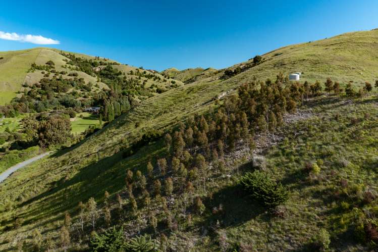 Redwood Pass Road Redwood Pass_6