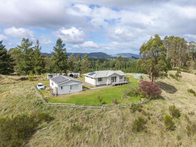 379 Otake Road Marotiri_2